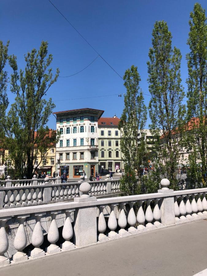 Triple Bridge Ljubljana Apartment ภายนอก รูปภาพ