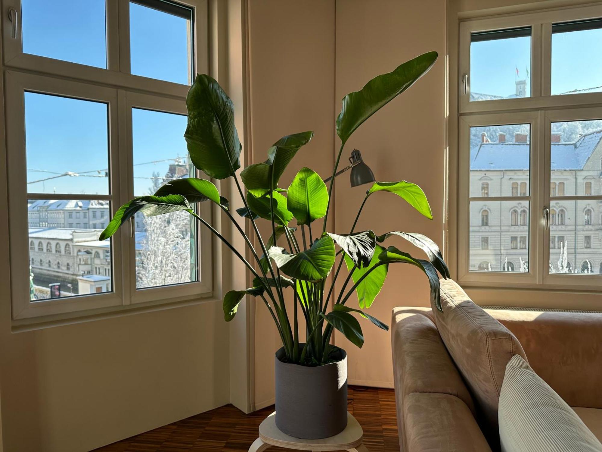 Triple Bridge Ljubljana Apartment ภายนอก รูปภาพ